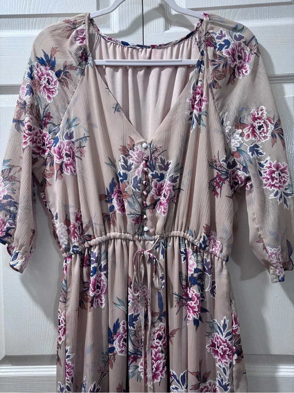 Just Found Floral Maxi Dress Sheer Chiffon Ruffle Hem Neutral Boho Pink Blue